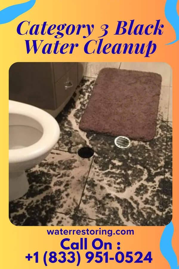 Category 3 Black Water Cleanup in Belmont, OH
