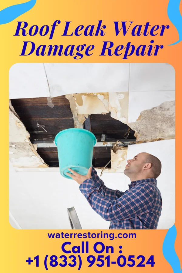 Roof Leak Water Damage Repair in Belmont, OH