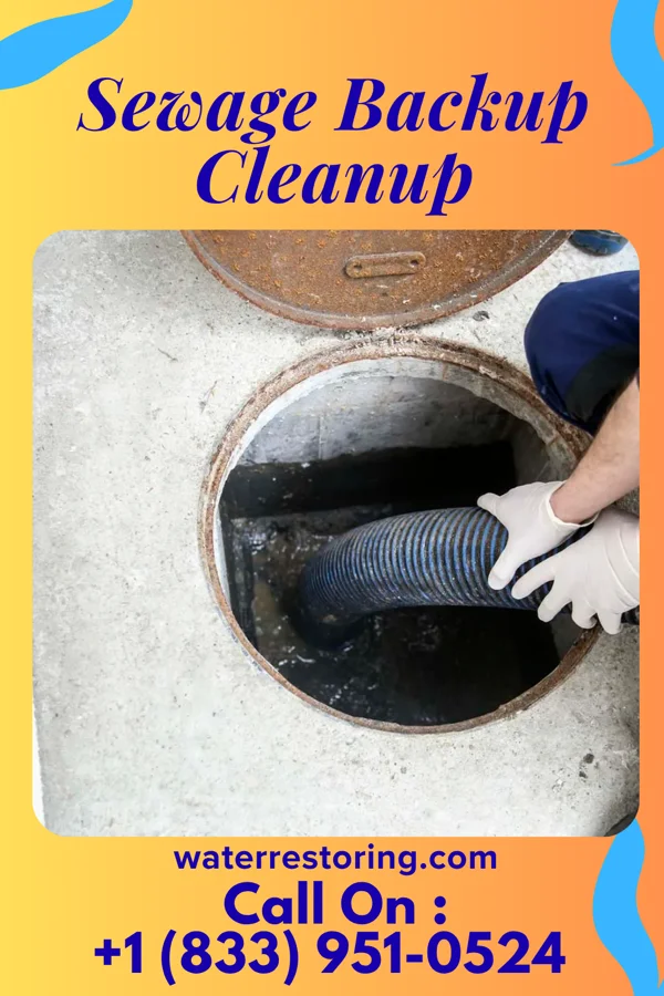 Sewage Backup Cleanup in Belmont, OH