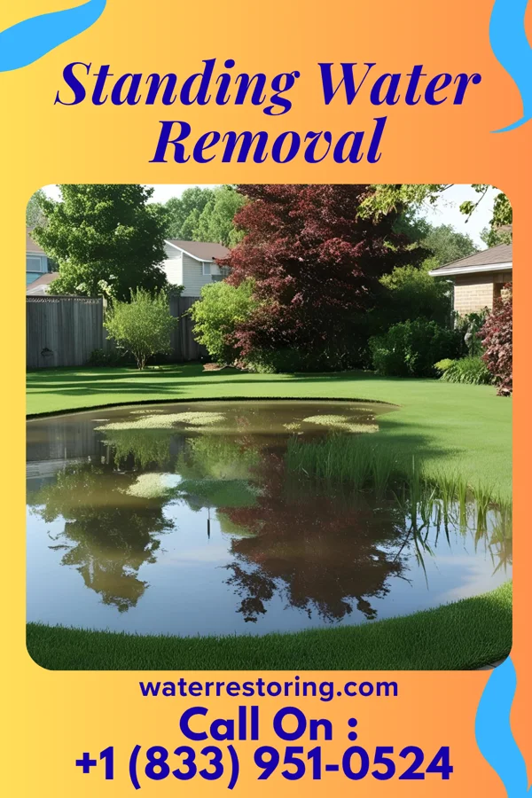 Standing Water Removal in Belmont, OH